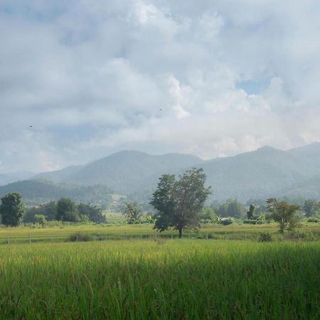 Camp View Mountain - Sell Experience By Paddy Fields Haven - Natures Nest Pai Extérieur photo