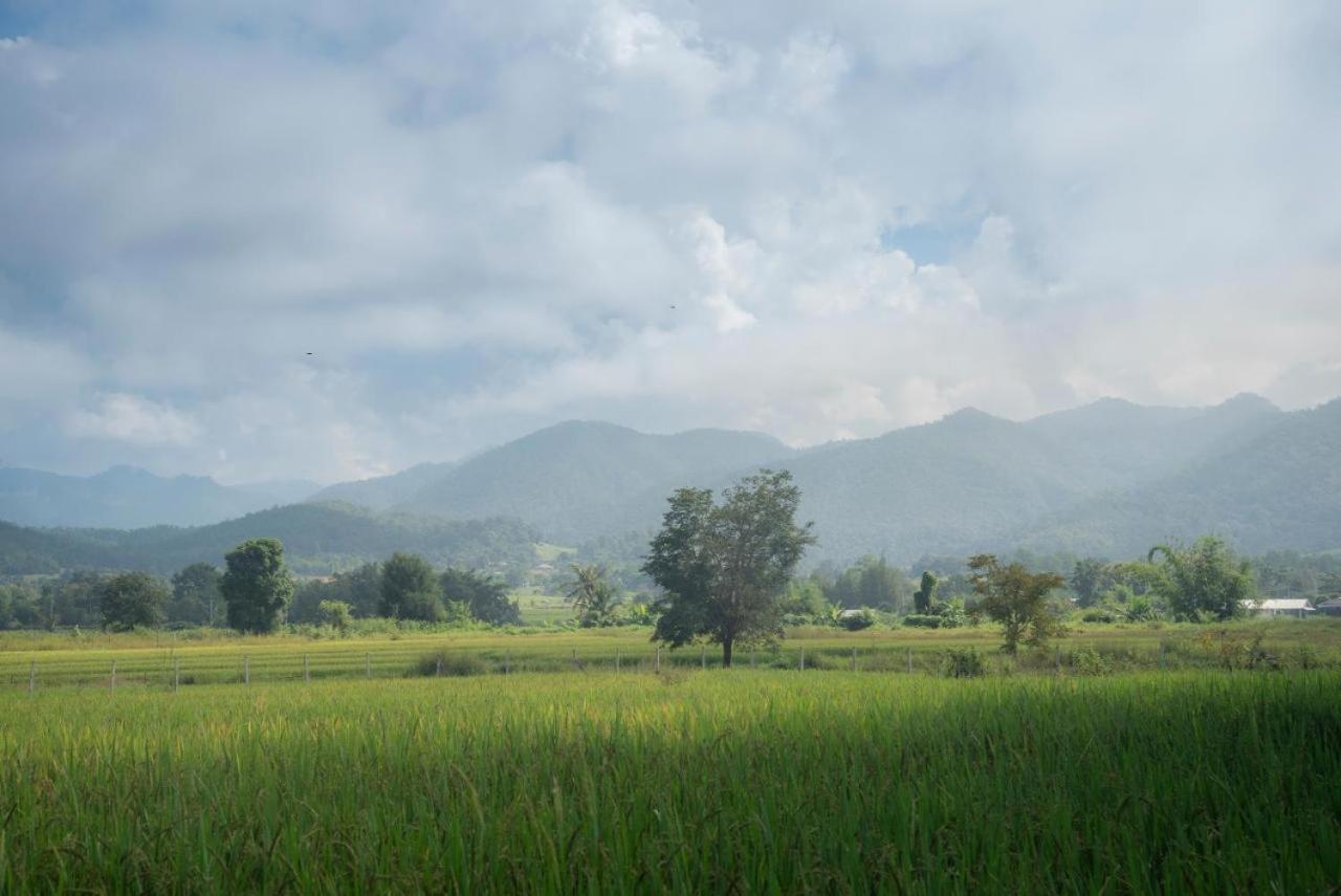 Camp View Mountain - Sell Experience By Paddy Fields Haven - Natures Nest Pai Extérieur photo
