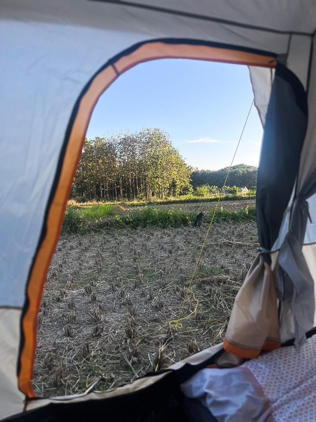Camp View Mountain - Sell Experience By Paddy Fields Haven - Natures Nest Pai Extérieur photo