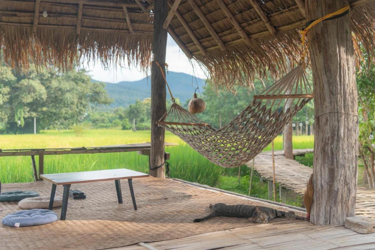 Camp View Mountain - Sell Experience By Paddy Fields Haven - Natures Nest Pai Extérieur photo
